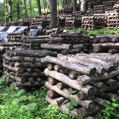 Cultivé selon des pratiques agroforestières durables