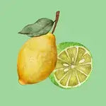 Citron vert